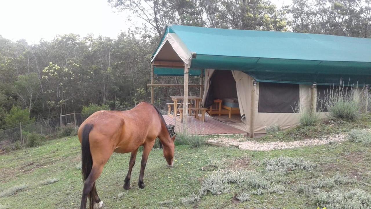 Luxuszelt Trees&seas - Getaway Glamping
