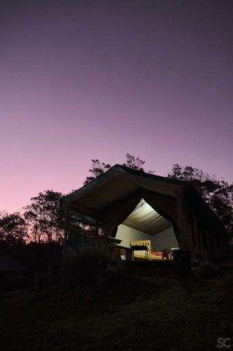 Trees&seas - Getaway Glamping * Wilderness